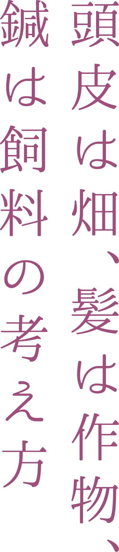 頭皮は畑、髪は作物、鍼は飼料の考え方
