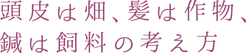 頭皮は畑、髪は作物、鍼は飼料の考え方